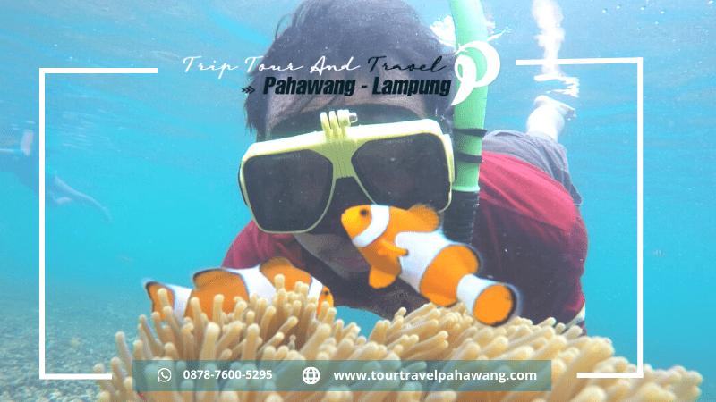 wisata pulau pahawang (2)-min Wisata Lampung